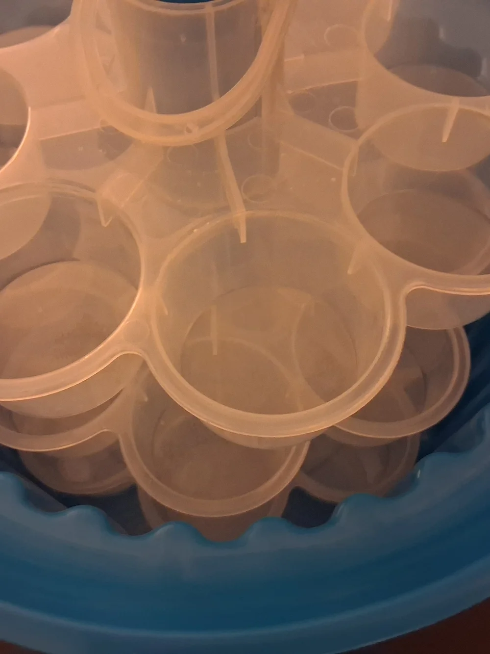 Clear Blue Plastic Cake Carrier with Handle